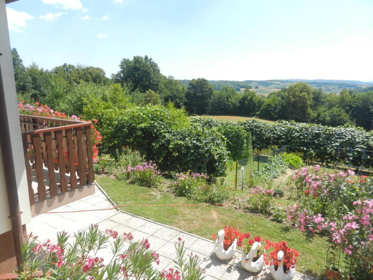 Urlaub Fuer Die Seele - Erholung Pur In Der Natur - Ferienhaus Mit Infrarotkabine & Relax-Raum Rucmanci Kültér fotó