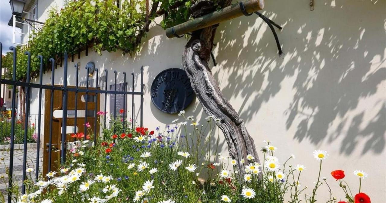 Urlaub Fuer Die Seele - Erholung Pur In Der Natur - Ferienhaus Mit Infrarotkabine & Relax-Raum Rucmanci Kültér fotó